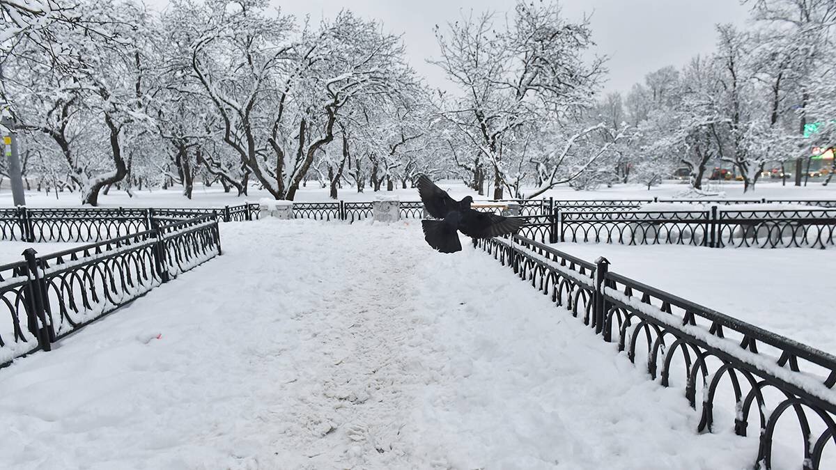    Фото: Сергей Киселев / АГН Москва