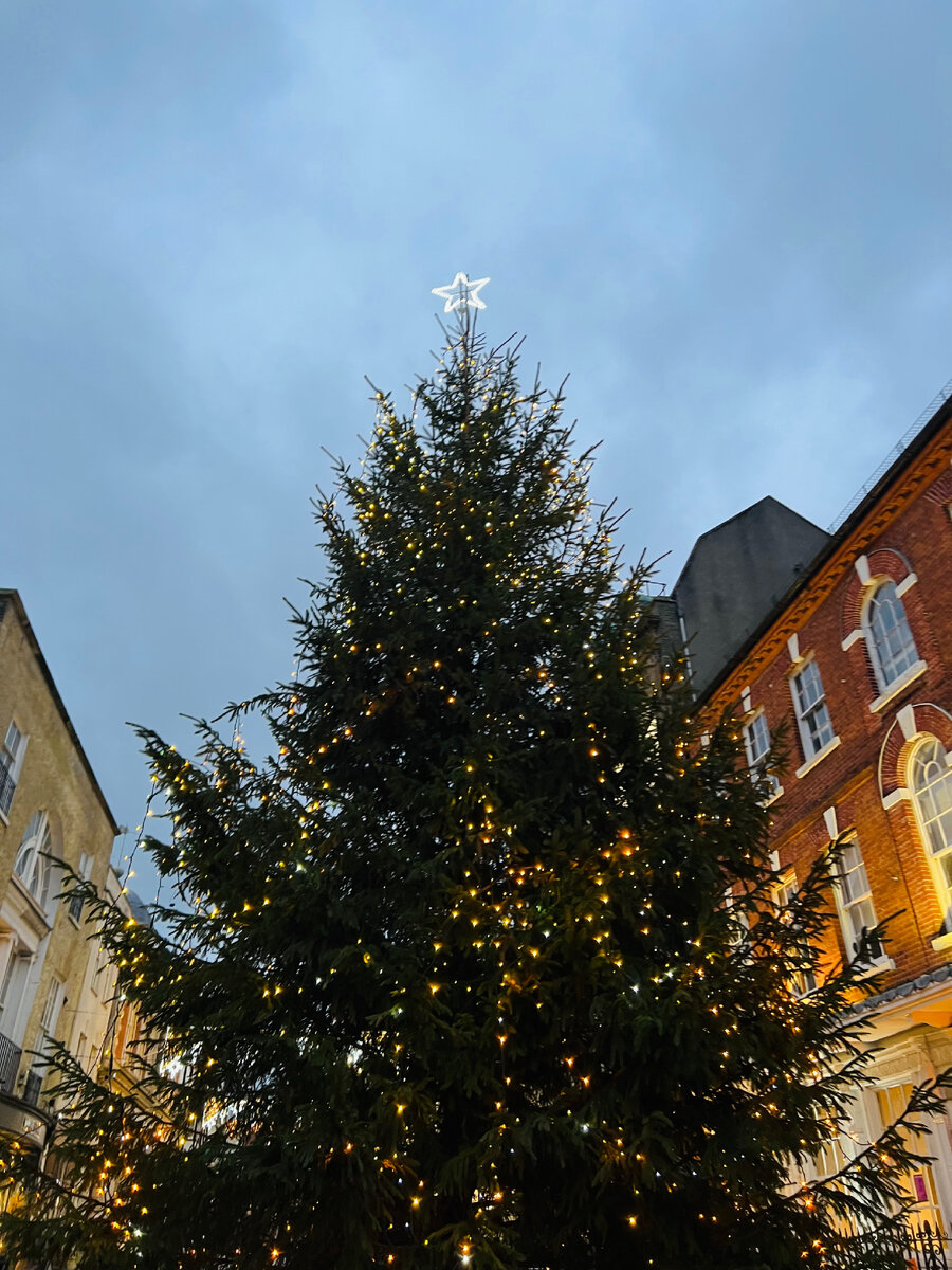 Ёлочка, гори! Фотография из личного архива. 