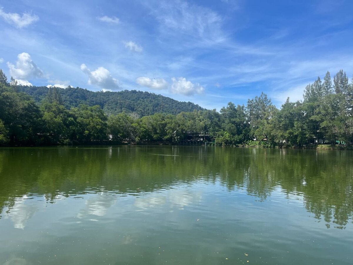 На фото: озеро у садика