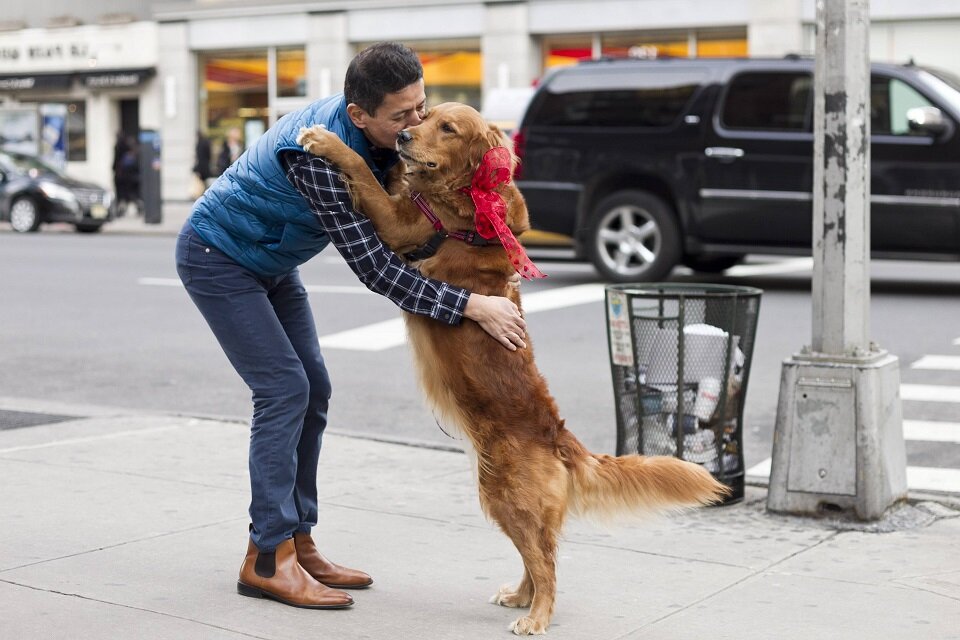 Радостные встречи