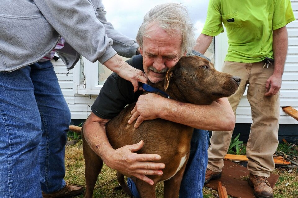 Радостные встречи