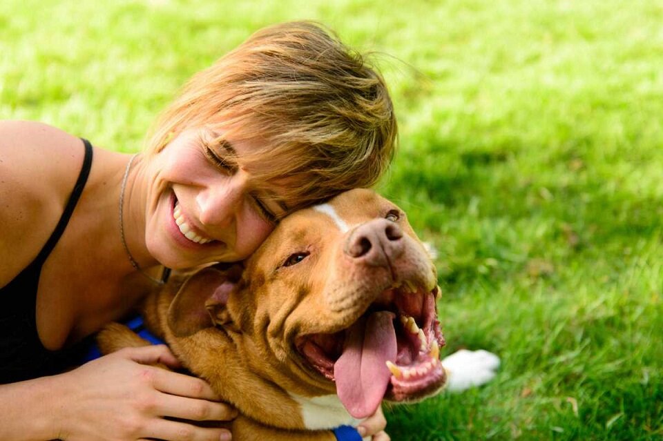 Радостные встречи