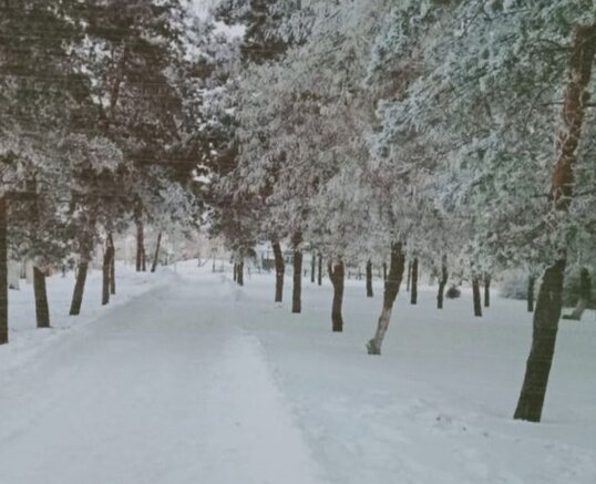 Красота.