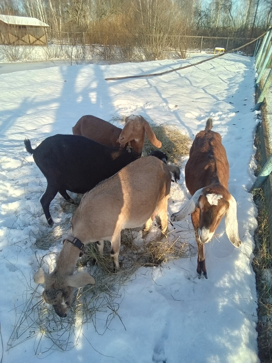 Фото автора. 