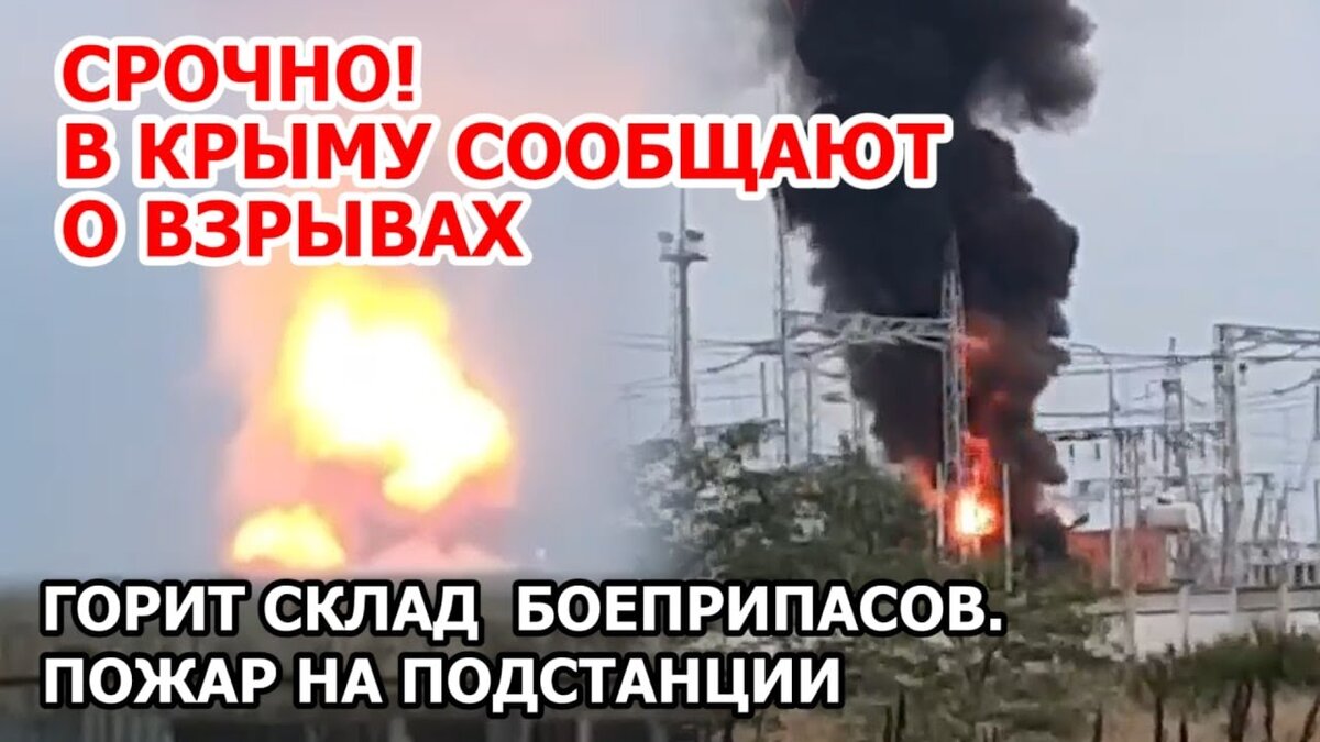 Фото из сети.