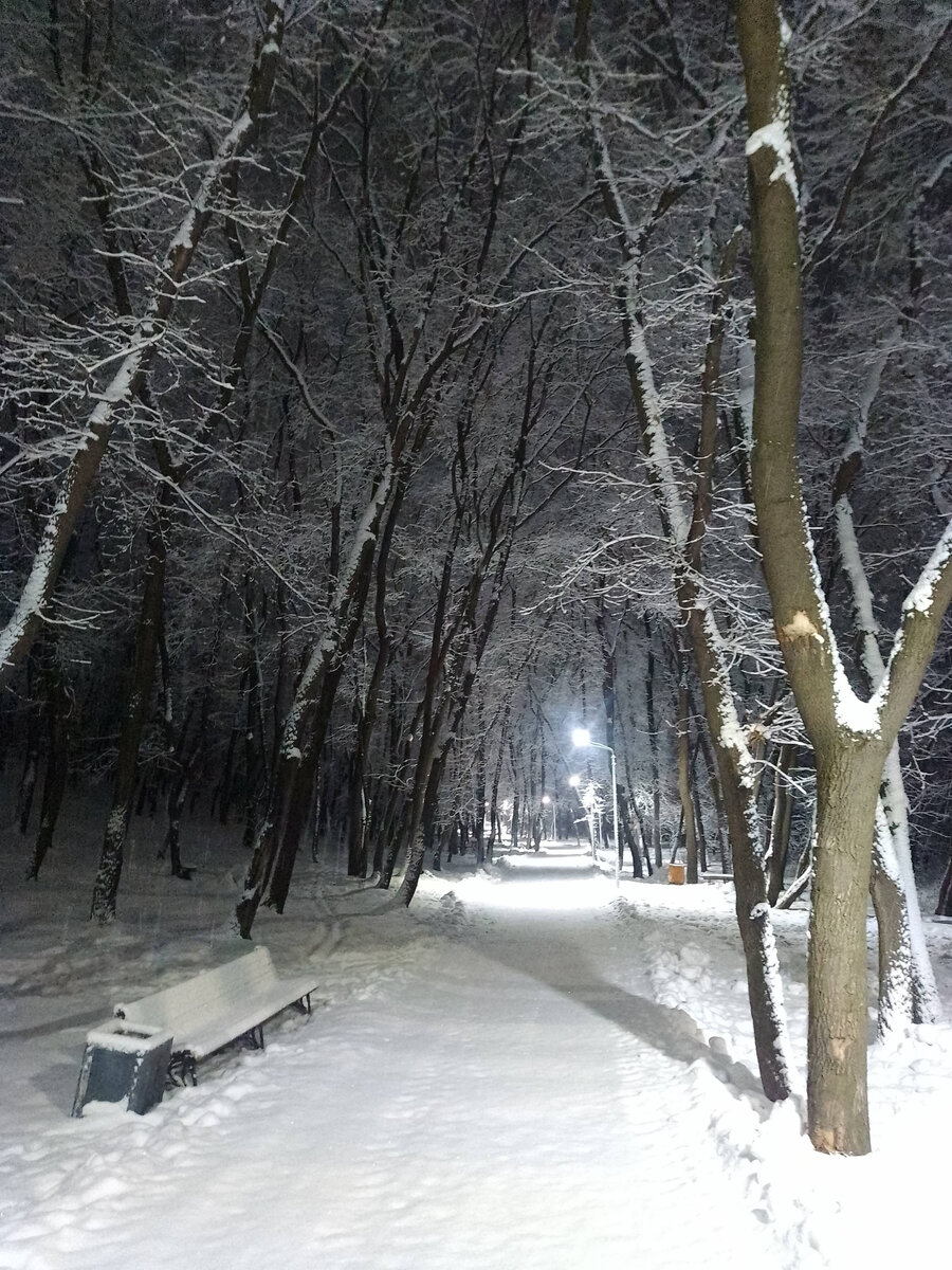 Солдатский лес