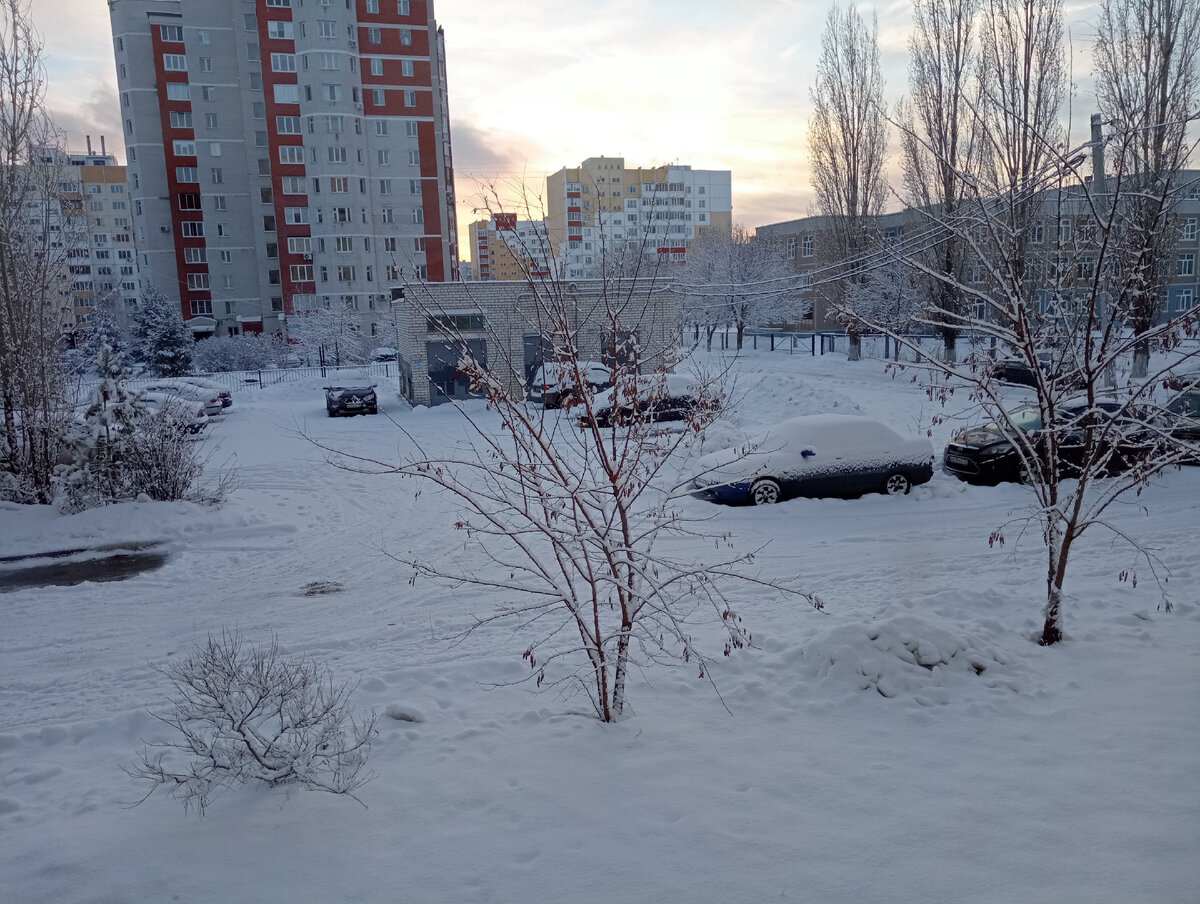 Ульяновск 1декабря 2023 год