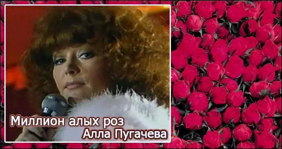 Текст песен розы пугачева. Пугачева 1988 миллион роз.