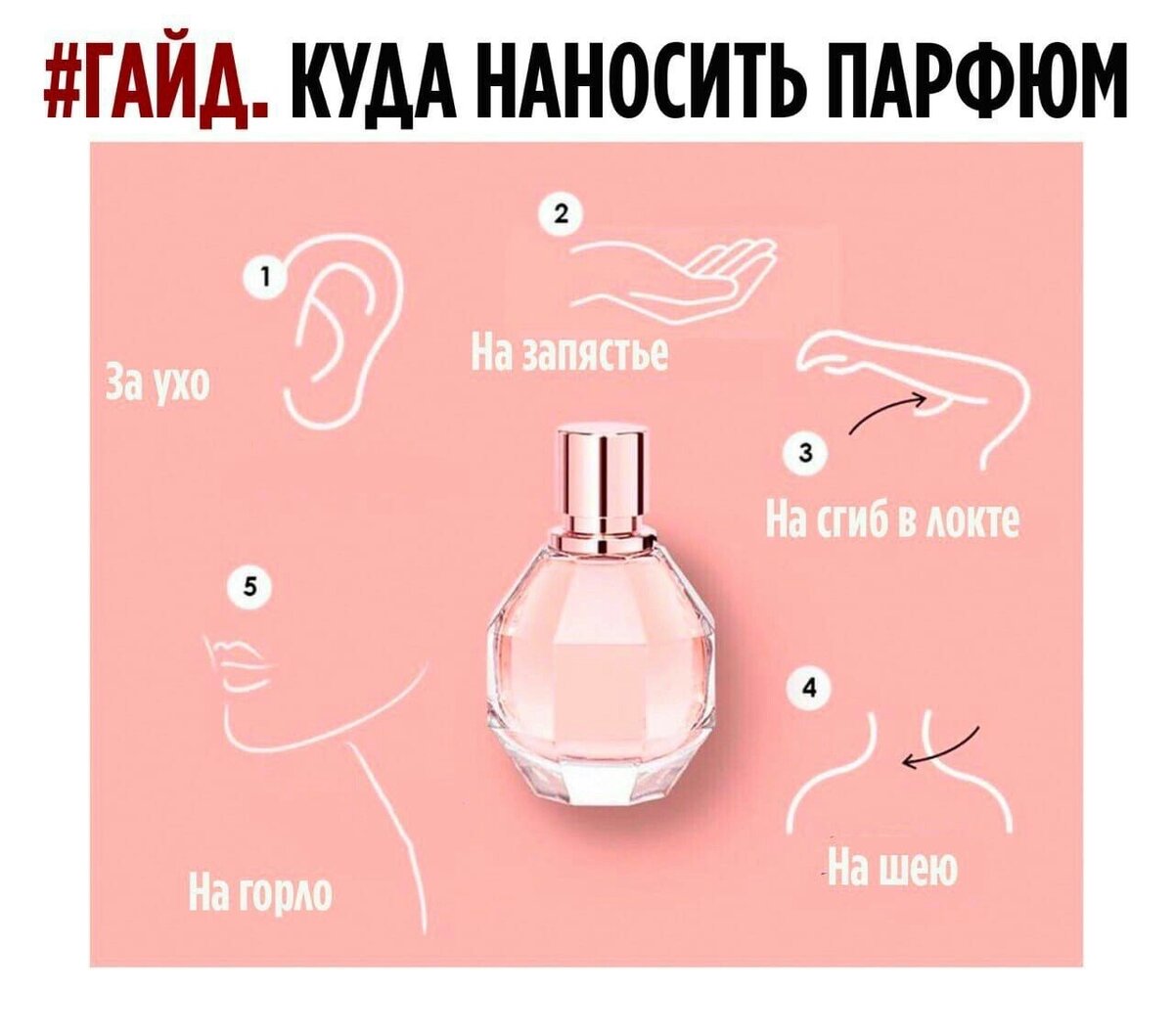 Взято из открытых источников