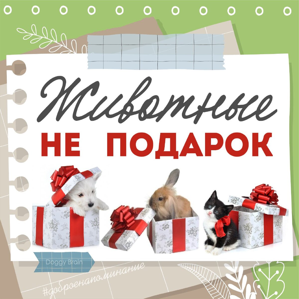 В преддверии нового года, хочется напомнить о важном. Собаки, кошки и другие животные - ЖИВЫЕ. Они не вещи и не игрушки.  У всех у них есть свои особенности и потребности.