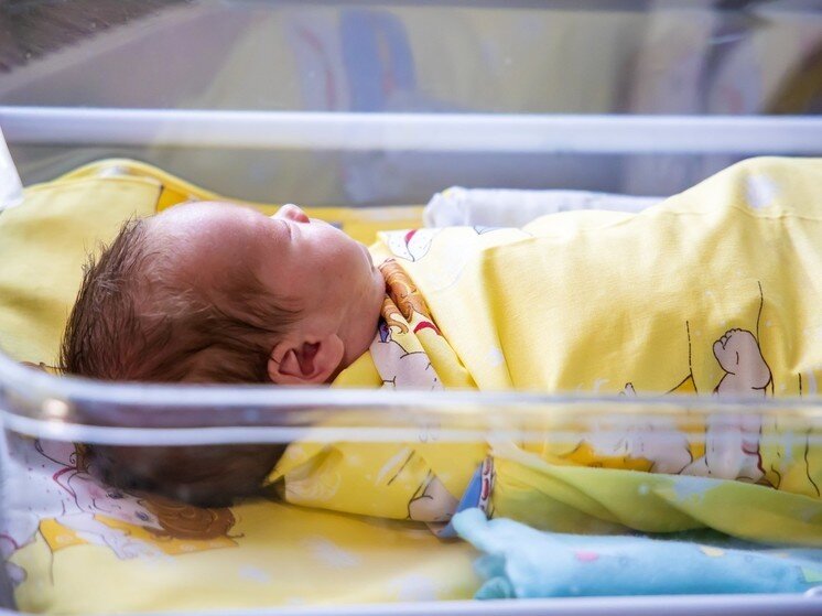     Фото: Юлия Боровикова ("Вечерний Челябинск")