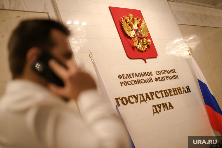    Депутат Лентратова предложила рассчитывать налоговый вычет за детей исходя из регионального прожиточного минимума