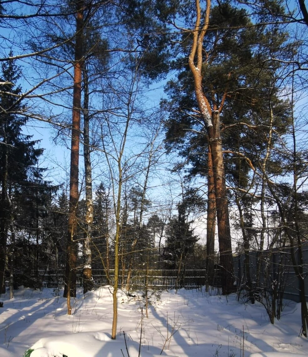 Панорама: Lucky House, баня, ул. имени Хорошева, 93, Волгоград — Яндекс Карты