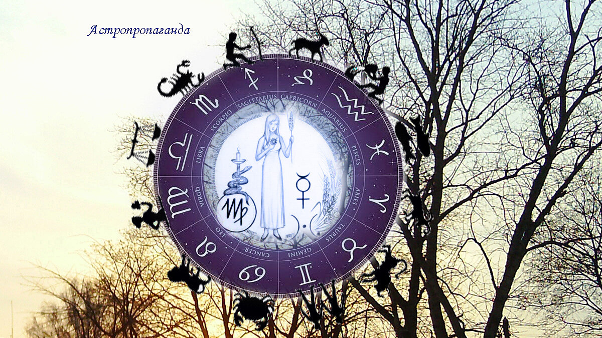 Коллаж Нины Стрелковой. 