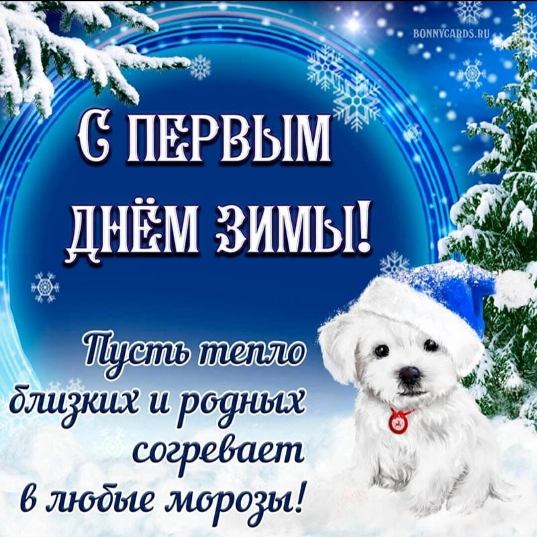 Фото из интернета.