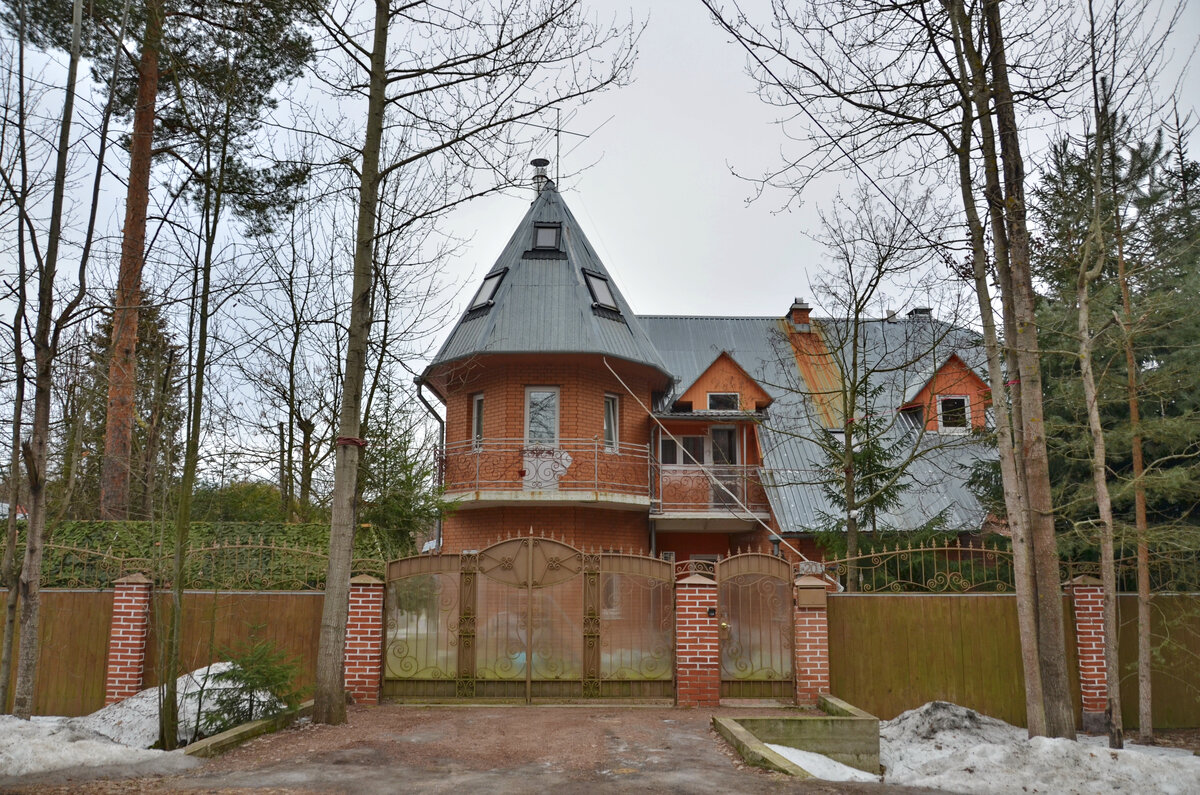 Как выглядит дом Александра Невзорова в поселке 