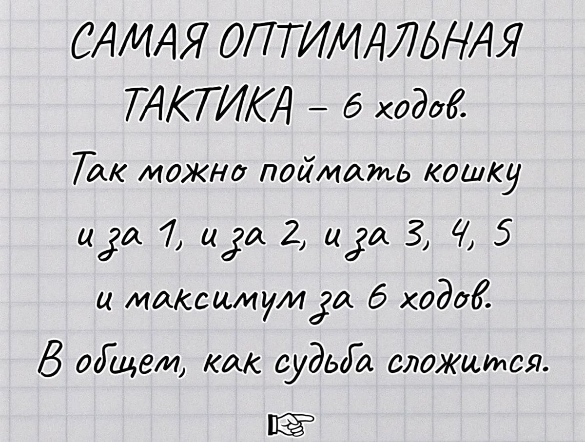 Найди кошку! Логическая задача – кошка в коробке | Бесконечные коты | Дзен