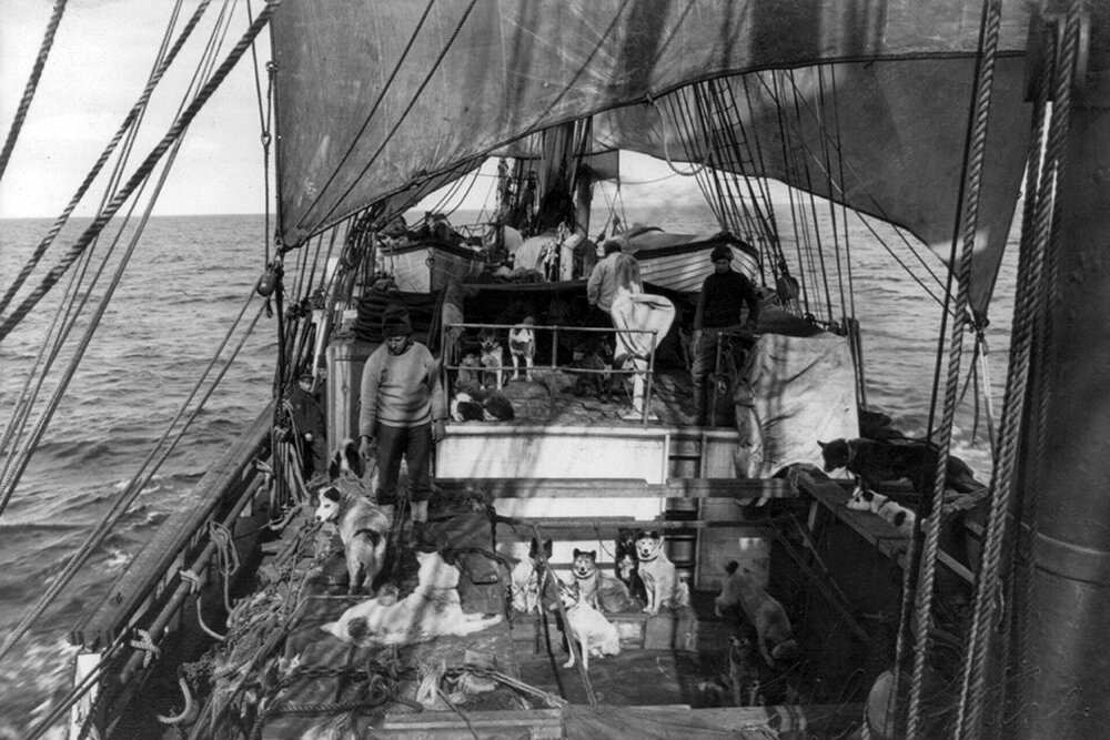    К антарктической экспедиции 1910–1913 годов барк «Терра Нова» получил дополнительную дубовую обшивку от носа до кормы. Курс на Антарктиду. 1910 год. Фото: East News