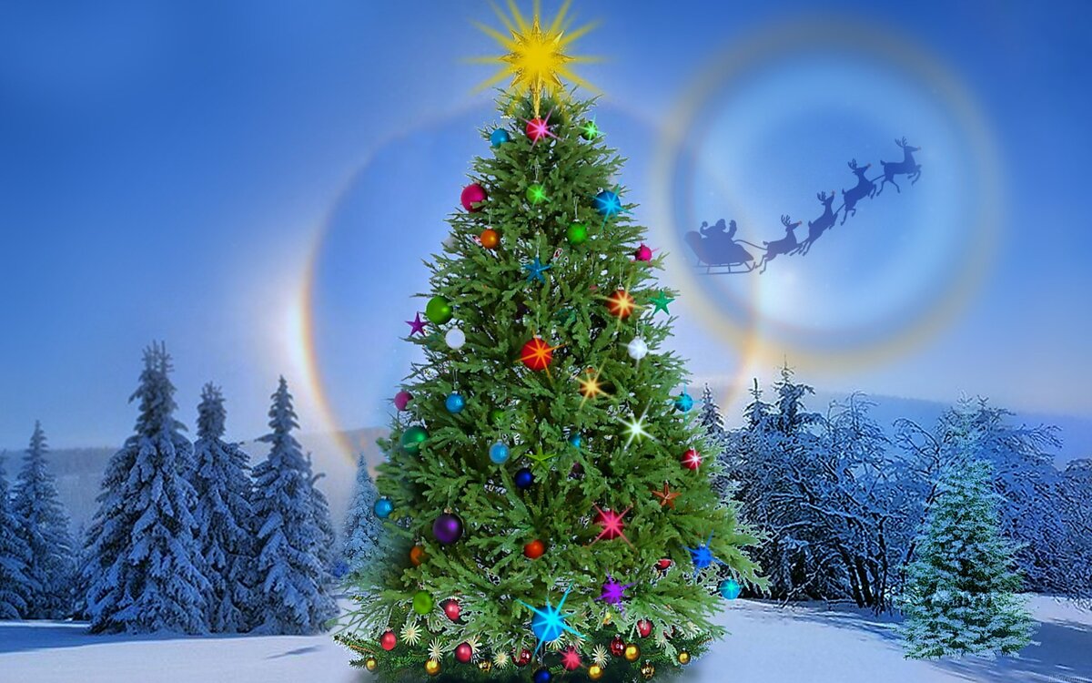 Фото из открытых источников интернета