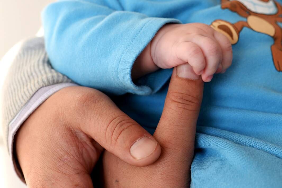 Фото: РИА Новости/Владимир Песня