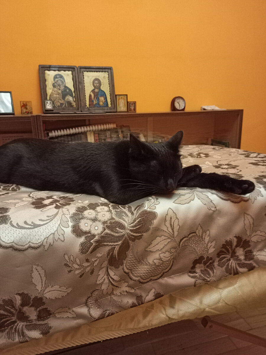 Я за тебя помолюсь!