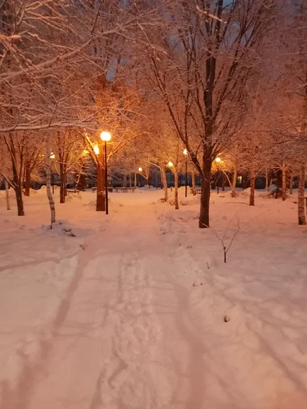 утром 1 декабря