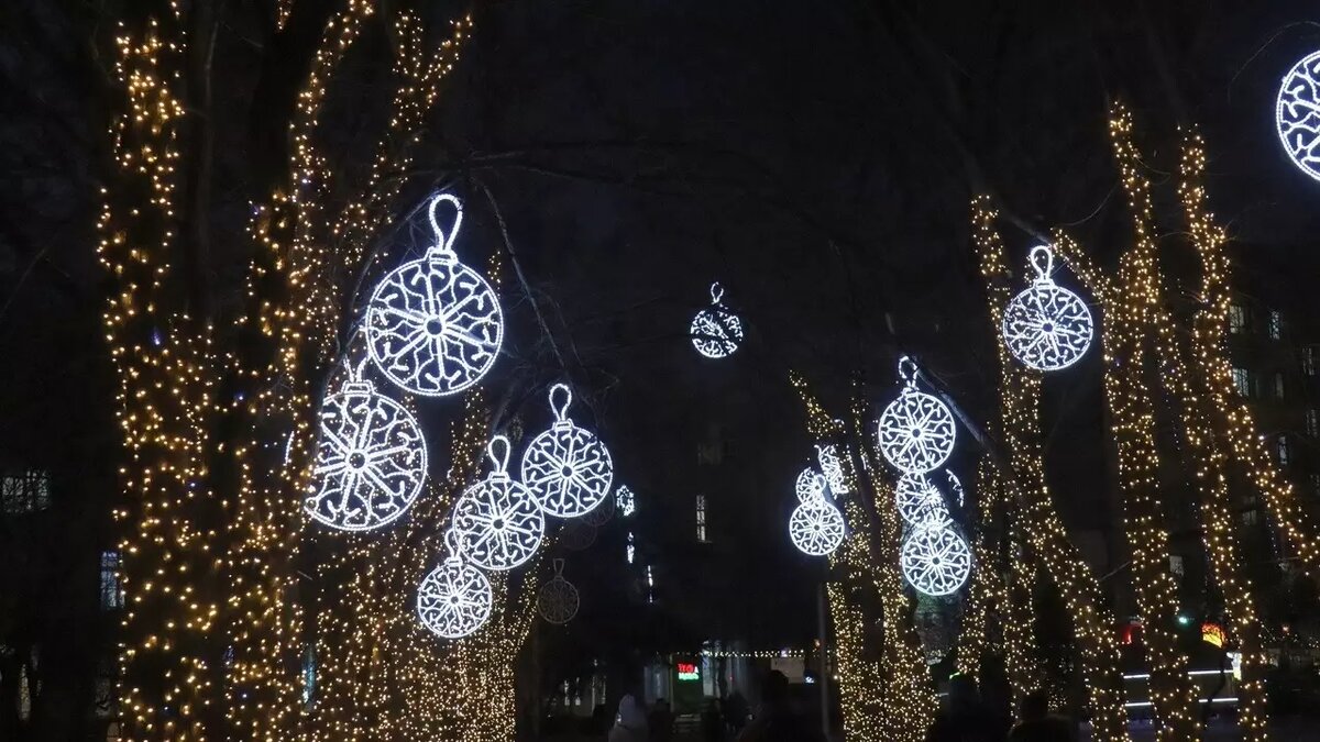 В парках Новосибирска на новогодние праздники установят бесплатные уборные  | Atas.info | Дзен