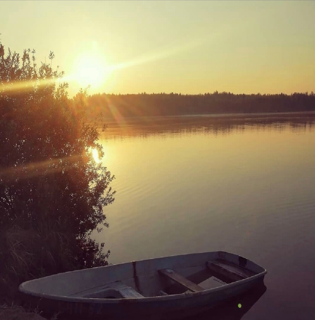Не спрашивай, в чем нуждается мир. Спроси, что делает тебя живым? И отправляйся делать это. Поскольку, в чем нуждается мир, так это в людях, которые живы. Говард Турман.