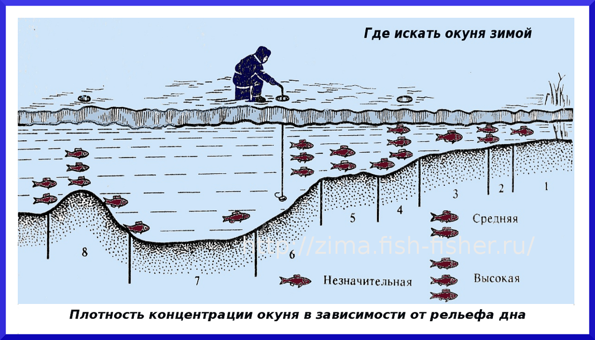 Как ловить рыбу летом? Основные тонкости летней рыбалки Рыбалка Лучший отдых Дзе
