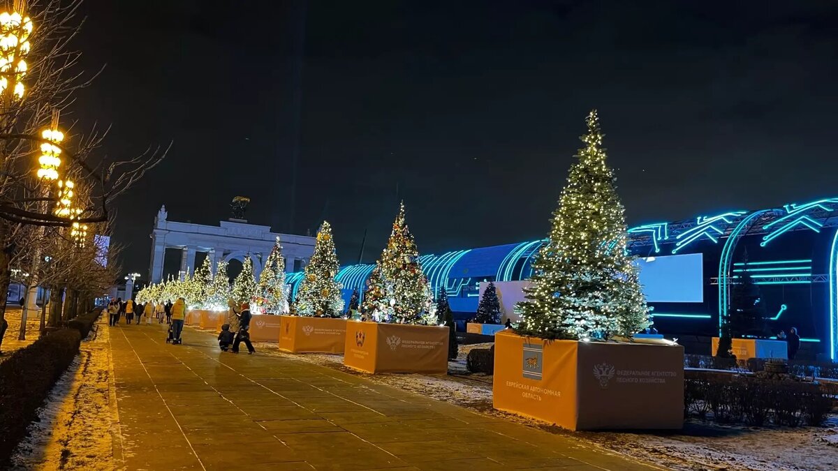     Праздничная елка Хакасии украшает главную аллею ВДНХ в Москве. С 1 декабря по 12 февраля там будет работать выставка «Ёлки России».