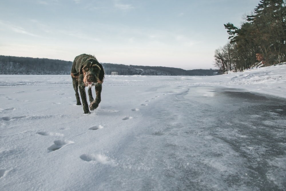 Mike Cox // unsplash.com