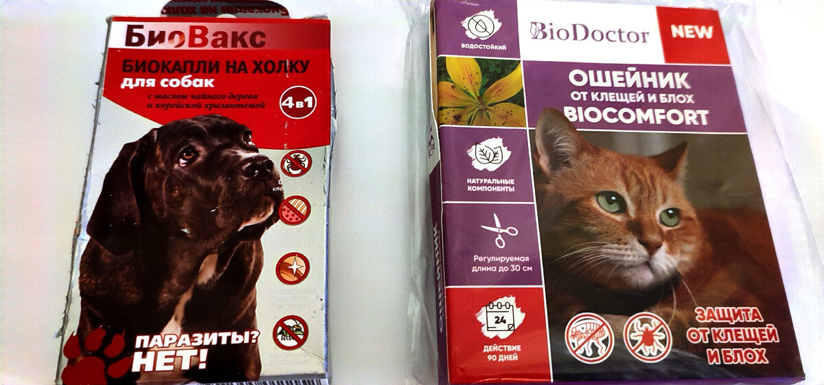 Для Боса капли на холку, для Тимы ошейник. 