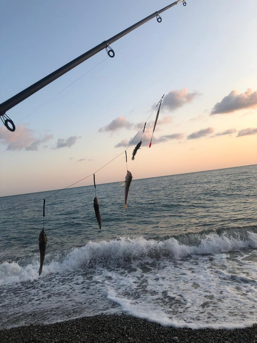 барабульки