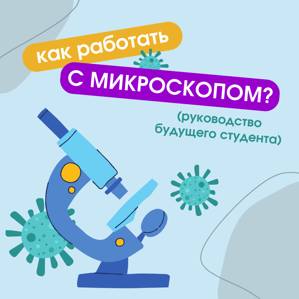 Устройство светового микроскопа