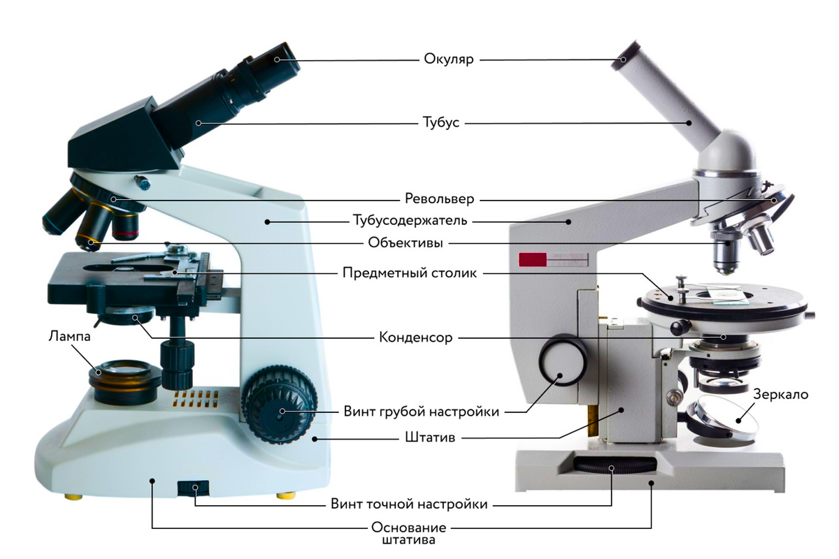 Как называются все детали микроскопа. Микроскопа PV-5100. Световой микроскоп Биолам строение. Строение микроскопа Микмед 1. Строение микроскопа Биомед 2.