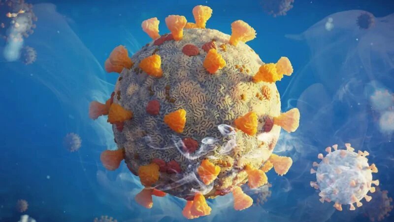 (Dotted Yeti/Shutterstock)