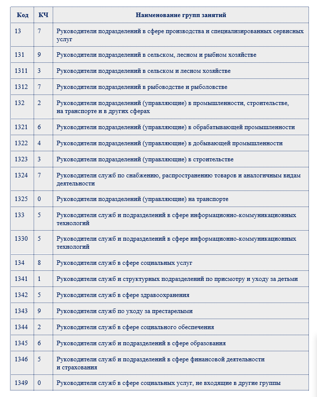 Код ОКЗ для заместителя директора в 2023-2024 годах | Налог-налог.ру | Дзен