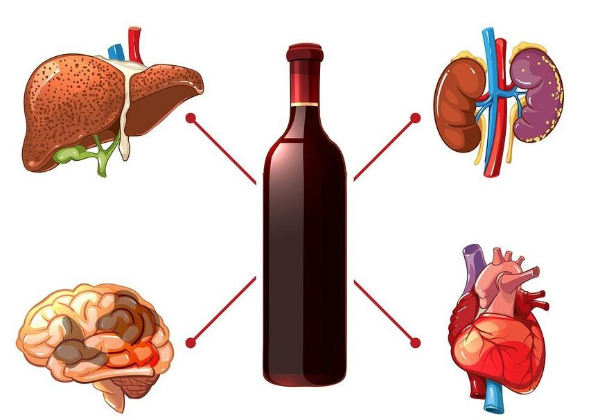 Действие алкоголя