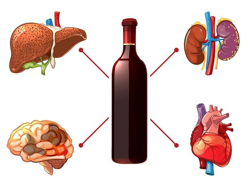 Вред алкоголя схема