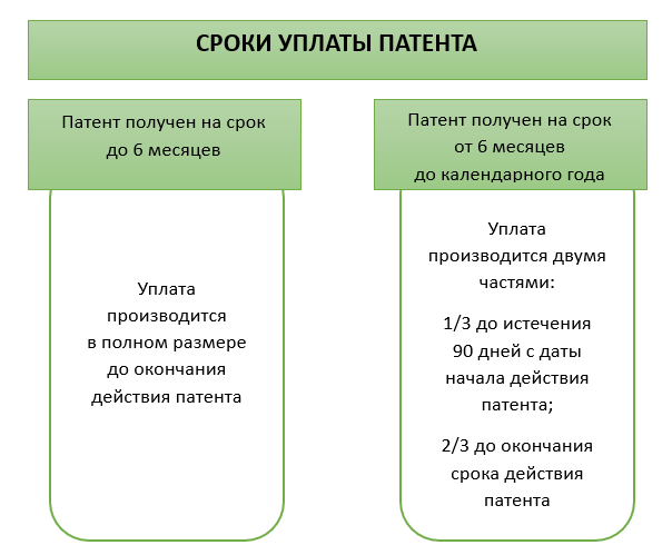 Сроки уплаты патента в 2024