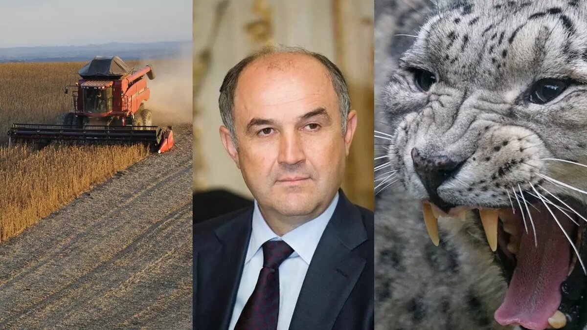     Героем четвертой серии проекта «Владельцы на Дону» стал Али Узденов. Редакция RostovGazeta подготовила материал о том, как бизнесмену удалось пройти путь от простого монтажника до одного из самых богатых депутатов страны.