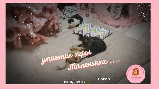 🎄Утренние игры наших малышей 🔥