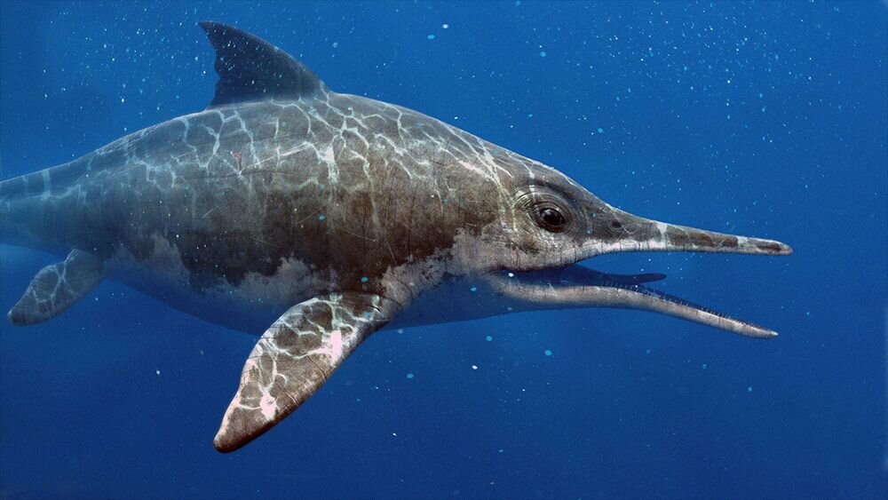 Офтальмозавр динозавр. Ихтиозавр прогулки с динозаврами. Ихтиозавр прогулки с динозаврами. Ophthalmosaurus icenius. Ophthalmosaurus icenicus.