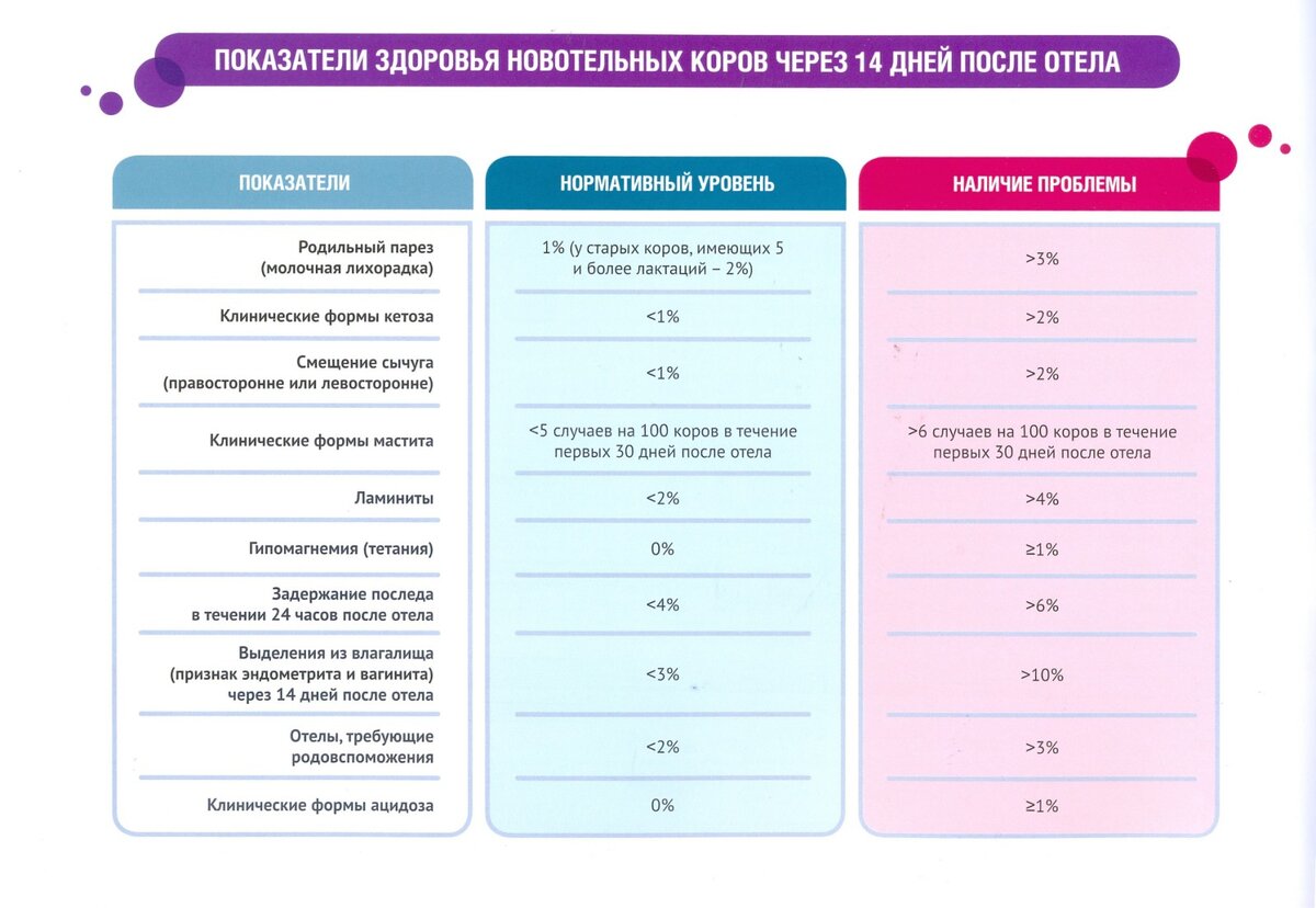 Схема лечения новотельных коров