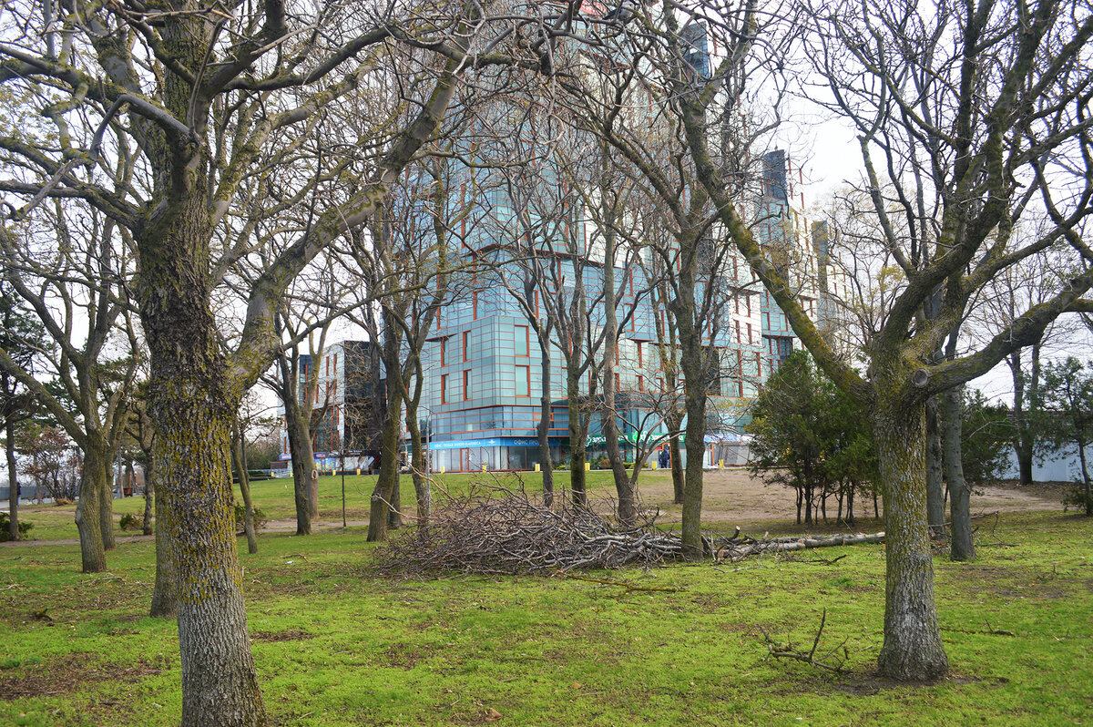 Анапа 1 декабря 2023.Район золотой бухты.