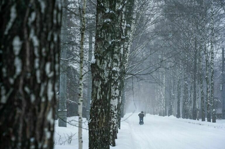   Авилов Александр / Агентство «Москва»
