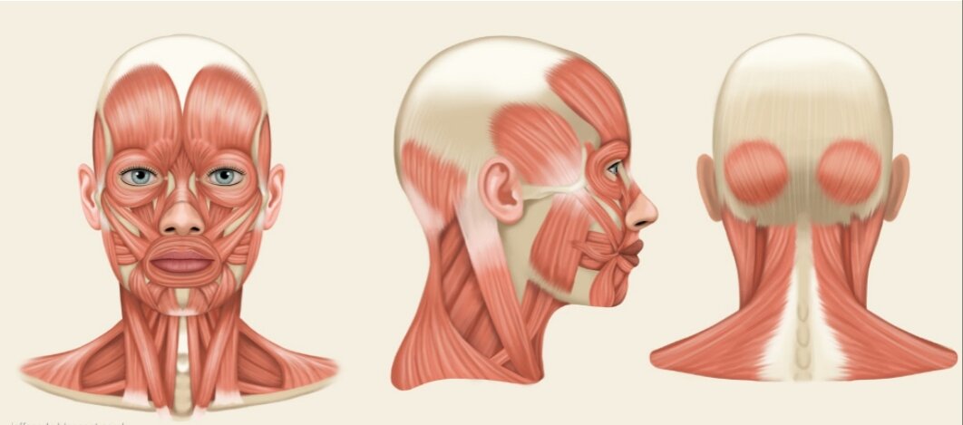  Так много мифов и домыслов крутится вокруг темы головных болей, что в пору конкурировать с головокружением. Там тоже нюансов и странностей хватает.-4