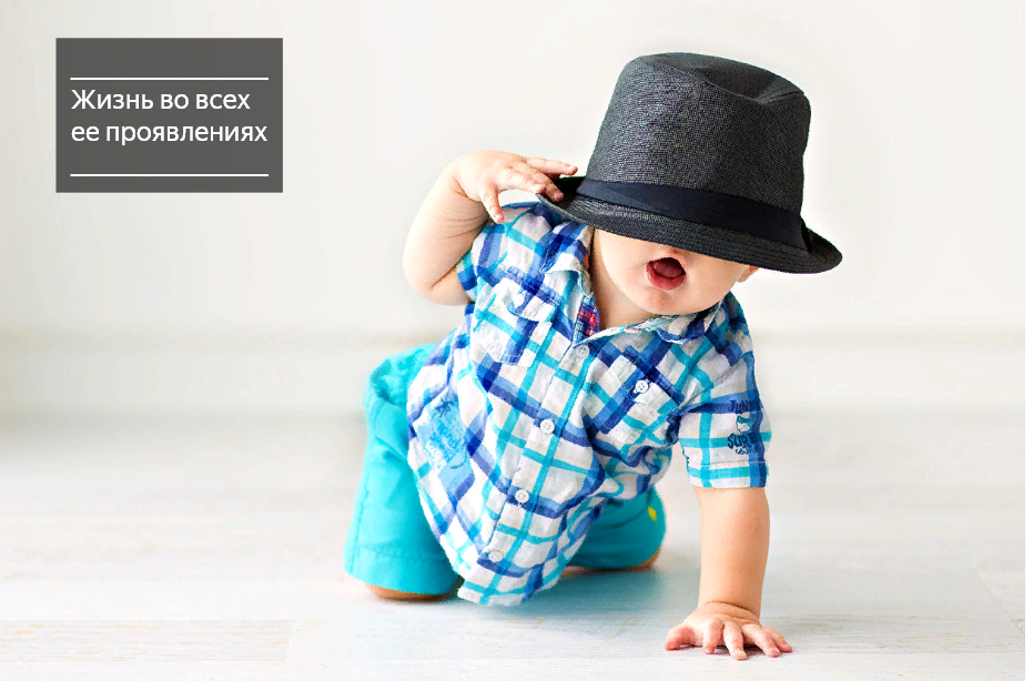Яндекс картинки