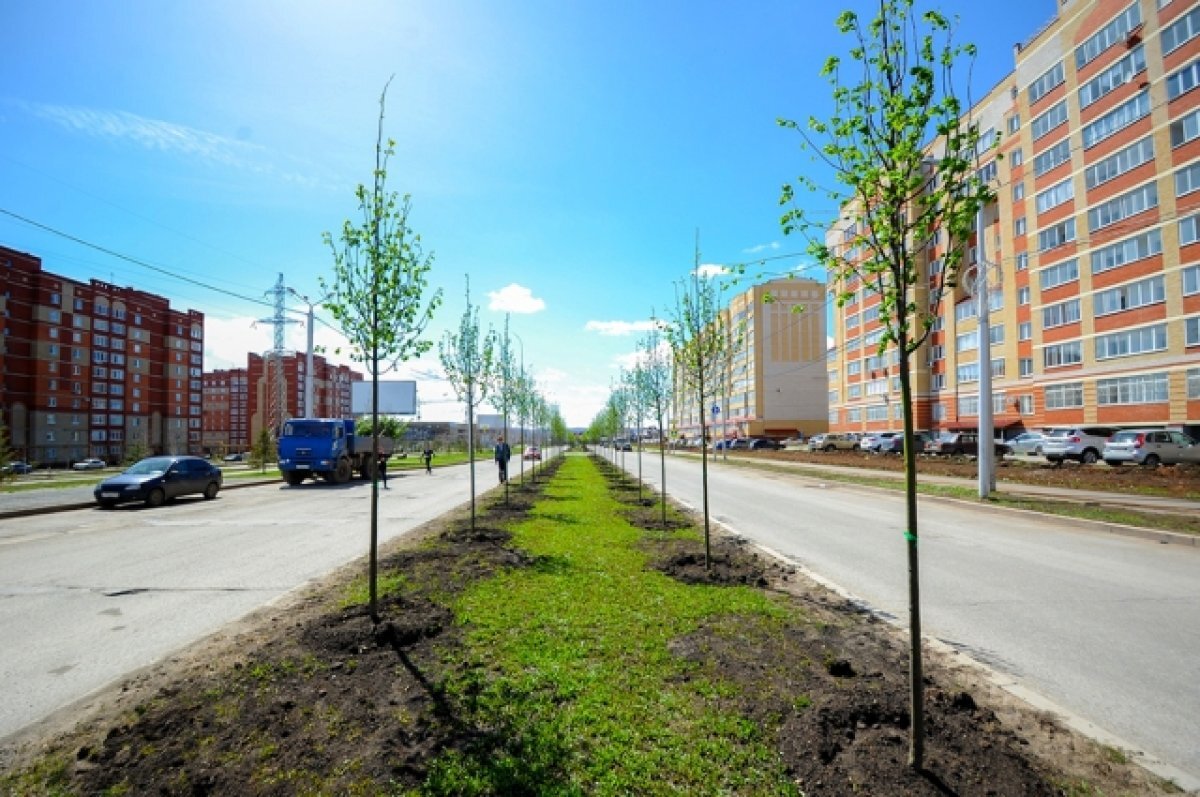    Улица Защитников Отечества появится в одном из городов Татарстана