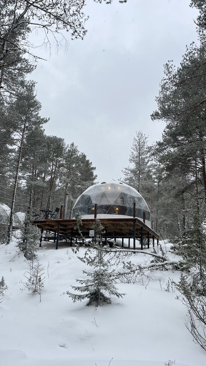 Вот в таком геокуполе мы жили 